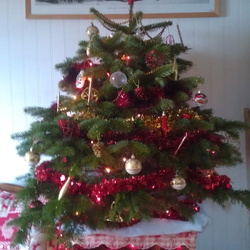 2011-decembre