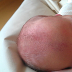 2012-naissance-lilly