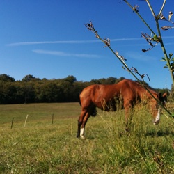 2016-octobre-porte-ouverte-perighorses